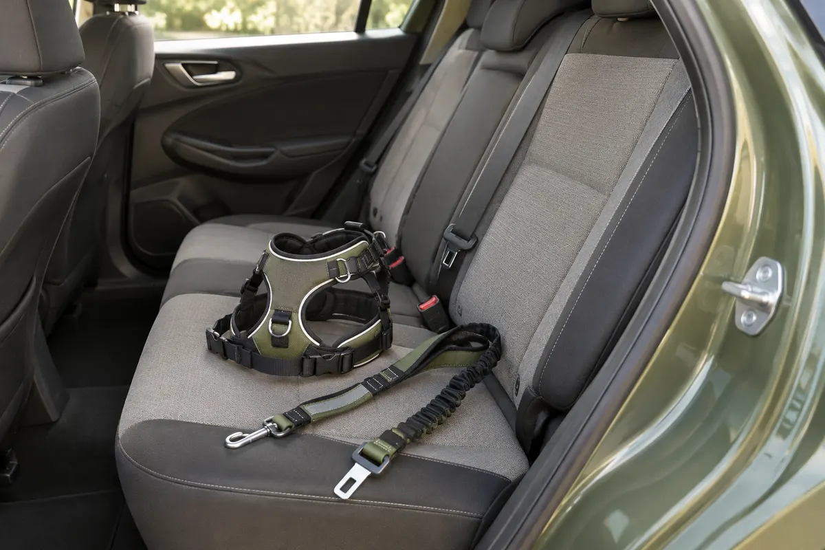 Harnais pour chien et liaison de sécurité présentés sur une banquette de voiture près d’une boucle.