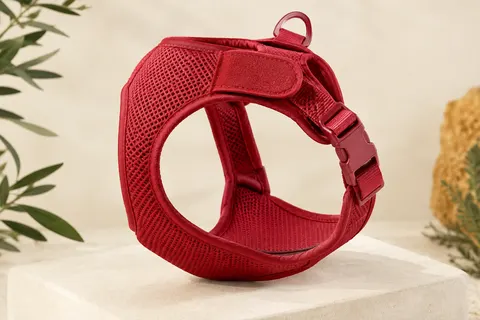 Harnais veste curli rouge rubis en maille Air-Mesh, avec fermeture Velcro et boucle assortie.