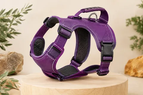 Harnais norvégien EzyDog violet avec rembourrage, boucle, réglages et coutures réfléchissantes