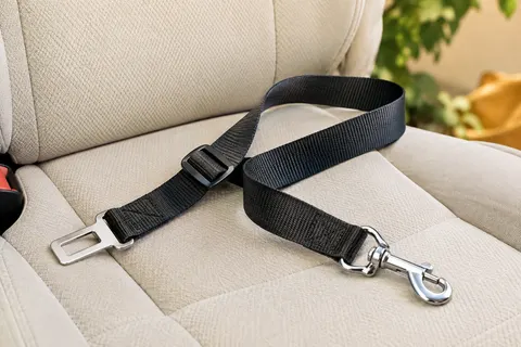 Sangle de voiture réglable en nylon noir avec boucle et attache pivotante sur une banquette claire