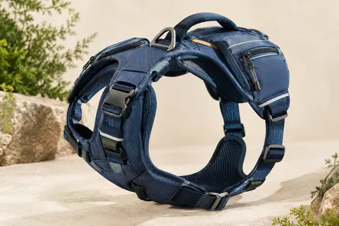 Harnais de randonnée bleu foncé avec deux poches zippées, sangles réglables et panneau de poitrine rembourré.