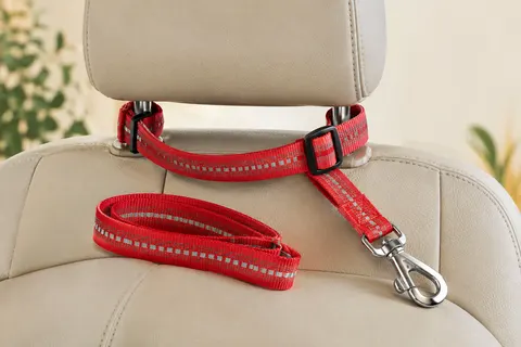 Ceinture de voiture rouge pour chien, avec corde réfléchissante et boucle métallique, posée sur un appui-tête