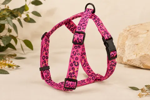 Harnais en H fuchsia à imprimé animal, avec sangles réglables et boucle, présenté sur un fond sable clair.
