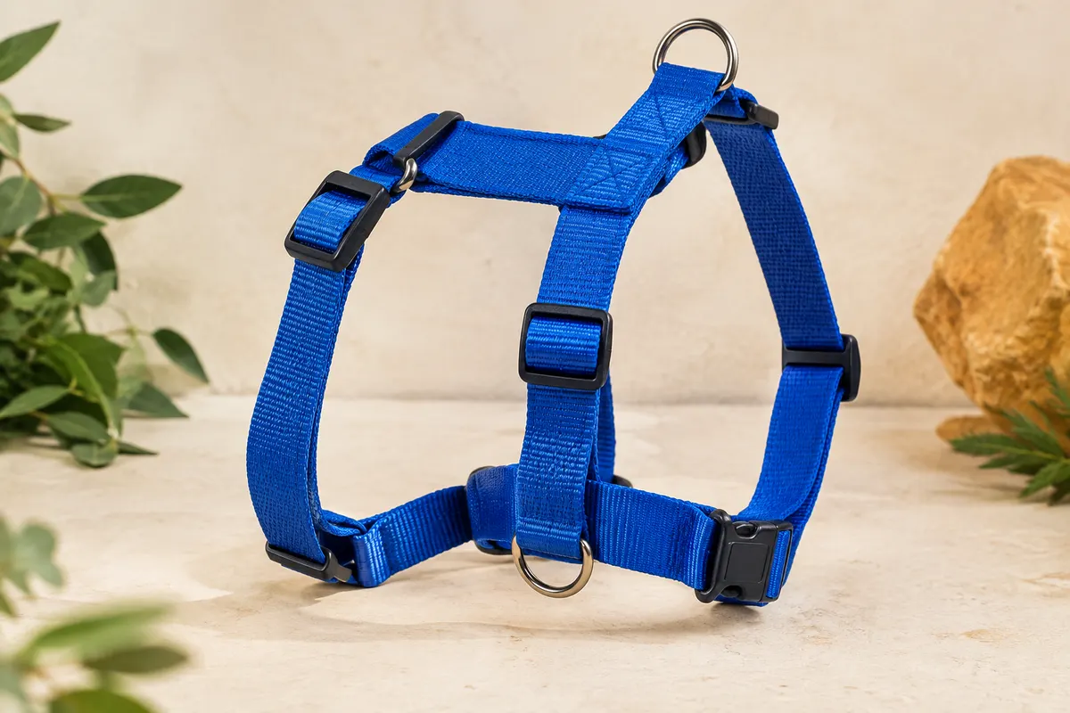 Harnais en H Trixie bleu roi en nylon, présenté sur un support neutre sable clair.