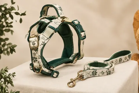 Harnais pour chien VETRESKA crème et vert à motif floral, avec poignée intégrée et laisse assortie