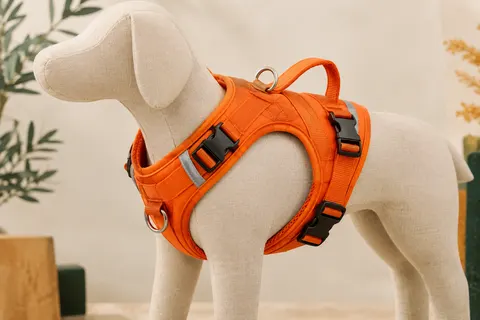 Harnais veste orange WINGOIN XXL avec poignée cousue, boucles rapides, anneaux en D et bande réfléchissante